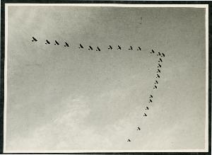 SC_F_SUP-3a230-0000031_IMG-0000003656