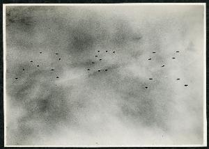 SC_F_SUP-3a230-0000042_IMG-0000003667