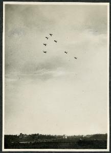 SC_F_SUP-3a230-0000044_IMG-0000003669