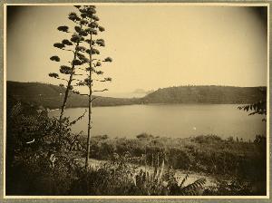 SC_F_SUP-3a230-0000075_IMG-0000037670