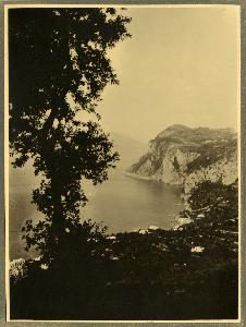 SC_F_SUP-3a230-0000079_IMG-0000037674