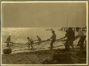 SC_F_SUP-3a230-0000080_IMG-0000037675