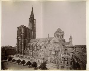 SC_F_SUP-3a230-0000271_IMG-0000011178