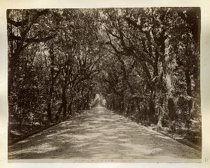 SC_F_SUP-3a230-0000447_IMG-0000011354