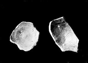 SC_F_SUP-3a230-0000666_IMG-0000015816