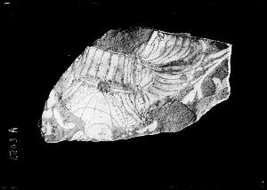 SC_F_SUP-3a230-0000680_IMG-0000015830