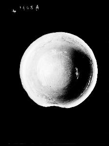 SC_F_SUP-3a230-0000703_IMG-0000015853