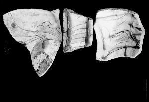 SC_F_SUP-3a230-0000713_IMG-0000015863