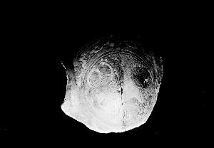SC_F_SUP-3a230-0000715_IMG-0000015865