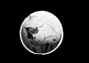 SC_F_SUP-3a230-0000718_IMG-0000015868