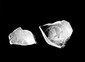 SC_F_SUP-3a230-0000733_IMG-0000015883