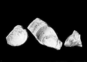 SC_F_SUP-3a230-0000736_IMG-0000015886