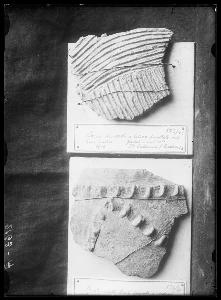 SC_F_SUP-3a230-0000779_IMG-0000015929