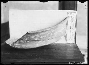 SC_F_SUP-3a230-0000789_IMG-0000015937