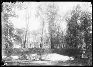 SC_F_SUP-3a230-0000985_IMG-0000016106