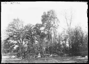 SC_F_SUP-3a230-0000986_IMG-0000016107