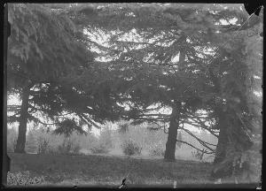 SC_F_SUP-3a230-0001081_IMG-0000016191