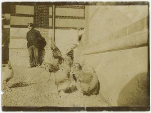 SC_F_SUP-3a230-0002426_IMG-0000038015