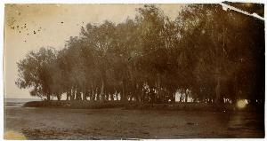 SC_F_SUP-3a230-0002500_IMG-0000038106