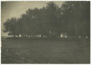 SC_F_SUP-3a230-0002501_IMG-0000038107