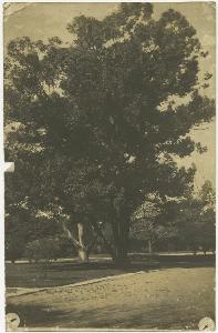 SC_F_SUP-3a230-0002511_IMG-0000038117