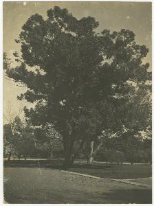 SC_F_SUP-3a230-0002512_IMG-0000038118