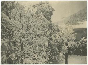 SC_F_SUP-3a230-0002513_IMG-0000038119