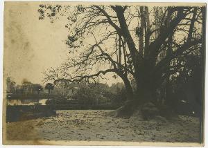 SC_F_SUP-3a230-0002562_IMG-0000038169