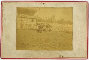 SC_F_SUP-3a230-0002667_IMG-0000038275