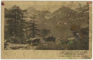 SC_F_SUP-3a230-0002799_IMG-0000038417