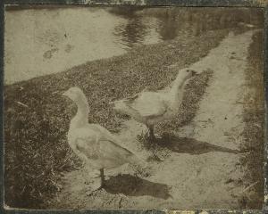 SC_F_SUP-3a230-0002843_IMG-0000038479