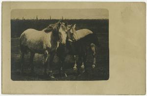 SC_F_SUP-3a230-0002870_IMG-0000038521