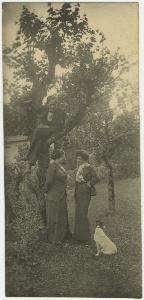 SC_F_SUP-3a230-0002887_IMG-0000038544