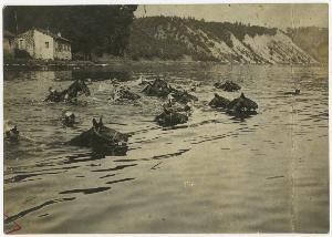 SC_F_SUP-3a230-0002939_IMG-0000040052