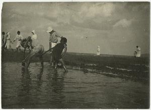 SC_F_SUP-3a230-0002955_IMG-0000040069