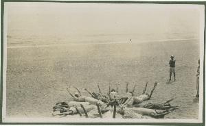 SC_F_SUP-3a230-0003151_IMG-0000041747