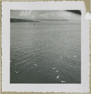 SC_F_SUP-3a230-0003381_IMG-0000041978