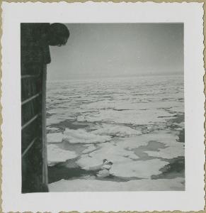 SC_F_SUP-3a230-0003444_IMG-0000042041