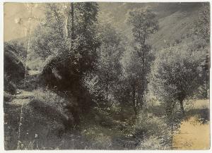 SC_F_SUP-3a280-0000065_IMG-0000037850