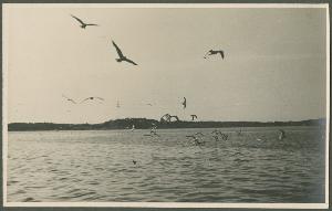SC_F_SUP-3a340-0000203_IMG-0000046142