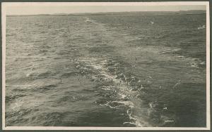 SC_F_SUP-3a340-0000205_IMG-0000046144