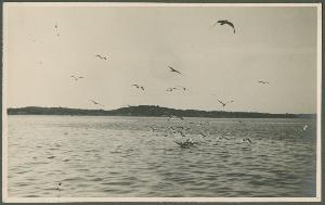 SC_F_SUP-3a340-0000206_IMG-0000046145