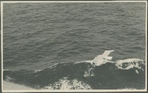 SC_F_SUP-3a340-0000207_IMG-0000046146