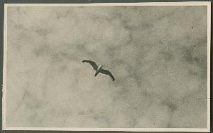 SC_F_SUP-3a340-0000208_IMG-0000046147
