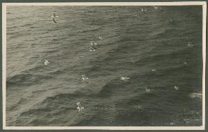 SC_F_SUP-3a340-0000209_IMG-0000046148