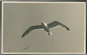 SC_F_SUP-3a340-0000210_IMG-0000046149