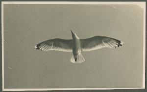 SC_F_SUP-3a340-0000212_IMG-0000046151