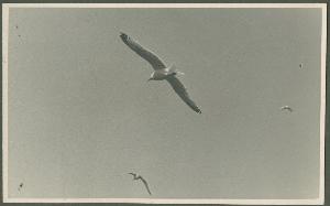 SC_F_SUP-3a340-0000214_IMG-0000046153