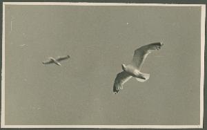SC_F_SUP-3a340-0000220_IMG-0000046159