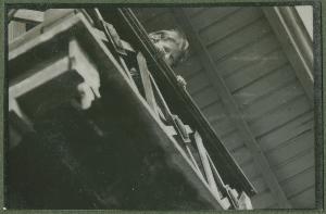 SC_F_SUP-3a340-0001230_IMG-0000047171